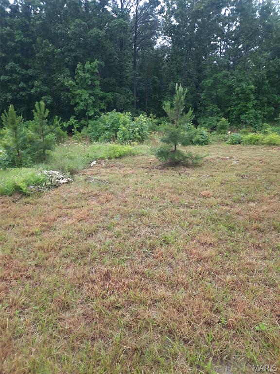 Photo of 652 Highway Ww Salem MO 65560