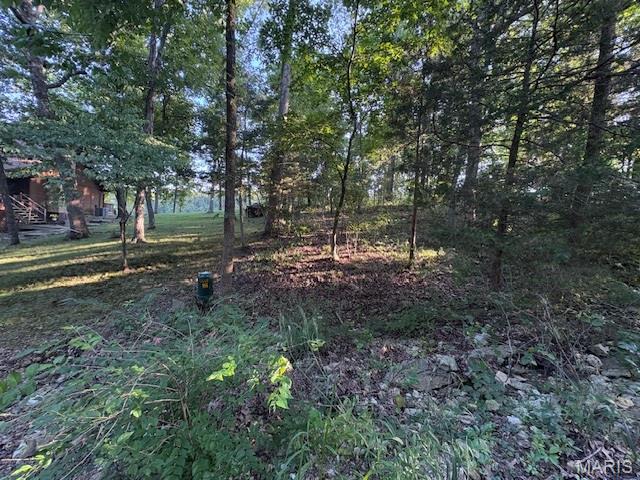 Photo of 9613 Greenview Court Hillsboro MO 63050