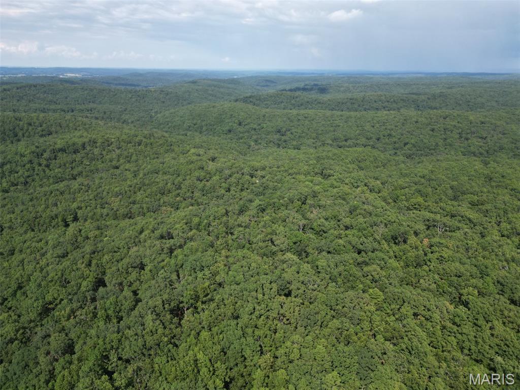 Photo of 0 Bidwell Creek Road Farmington MO 63645