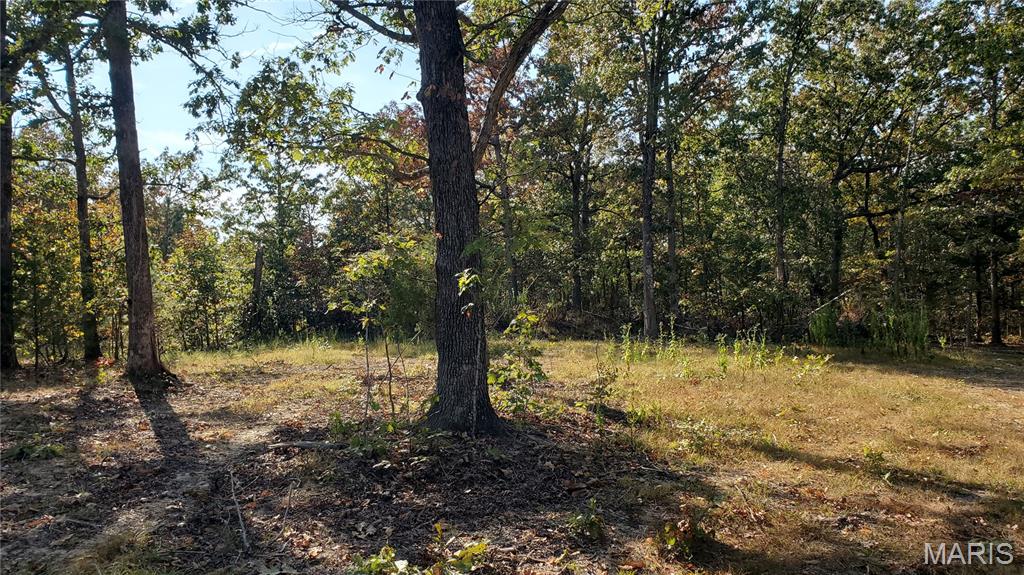 Photo of 00 County Road 6030 Salem MO 65560