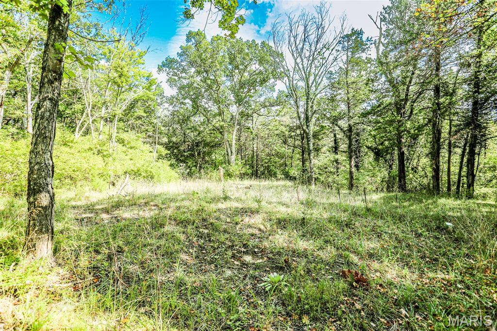 Photo of 6302 Upper Byrnes Mill Byrnes Mill MO 63051