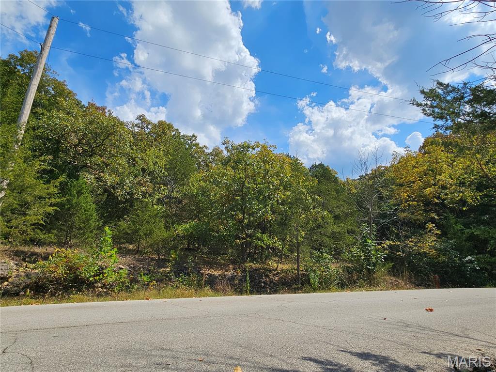 Photo of 10020 Waterford Drive Hillsboro MO 63050