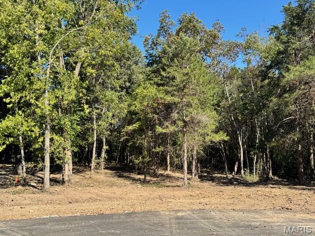 Photo of 107 Elizabeth Court Wright City MO 63390