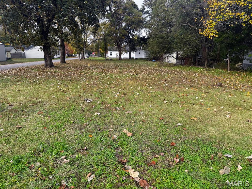 Photo of Lot 6 Fisher Drive Morehouse MO 63868