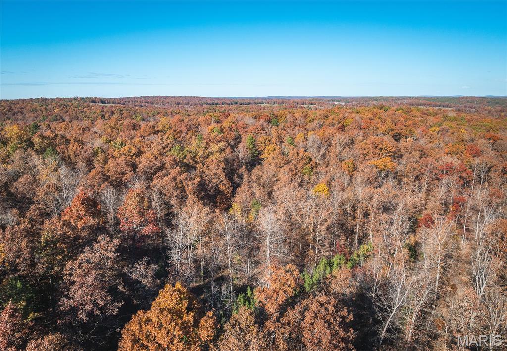 Photo of 00 County Road 748 Centerville MO 63633