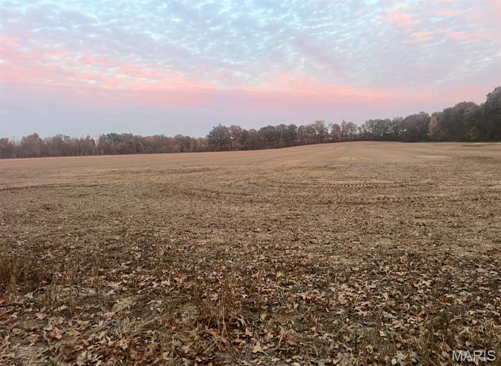 Photo of 0 County Road 237 Bloomfield MO 63825