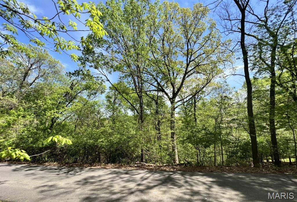 Photo of 1032 Chesterfield Forest Wildwood MO 63005