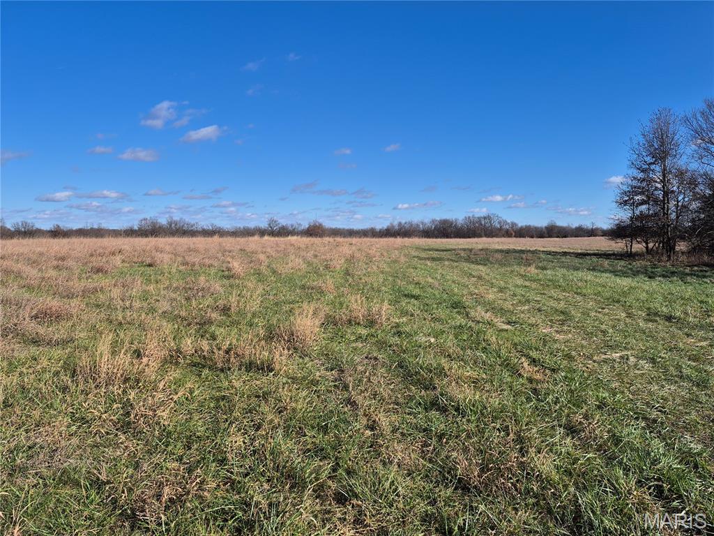 Photo of 0 County Road 197 - Tract 1 (22+/- Acres) Williamsburg MO 63388