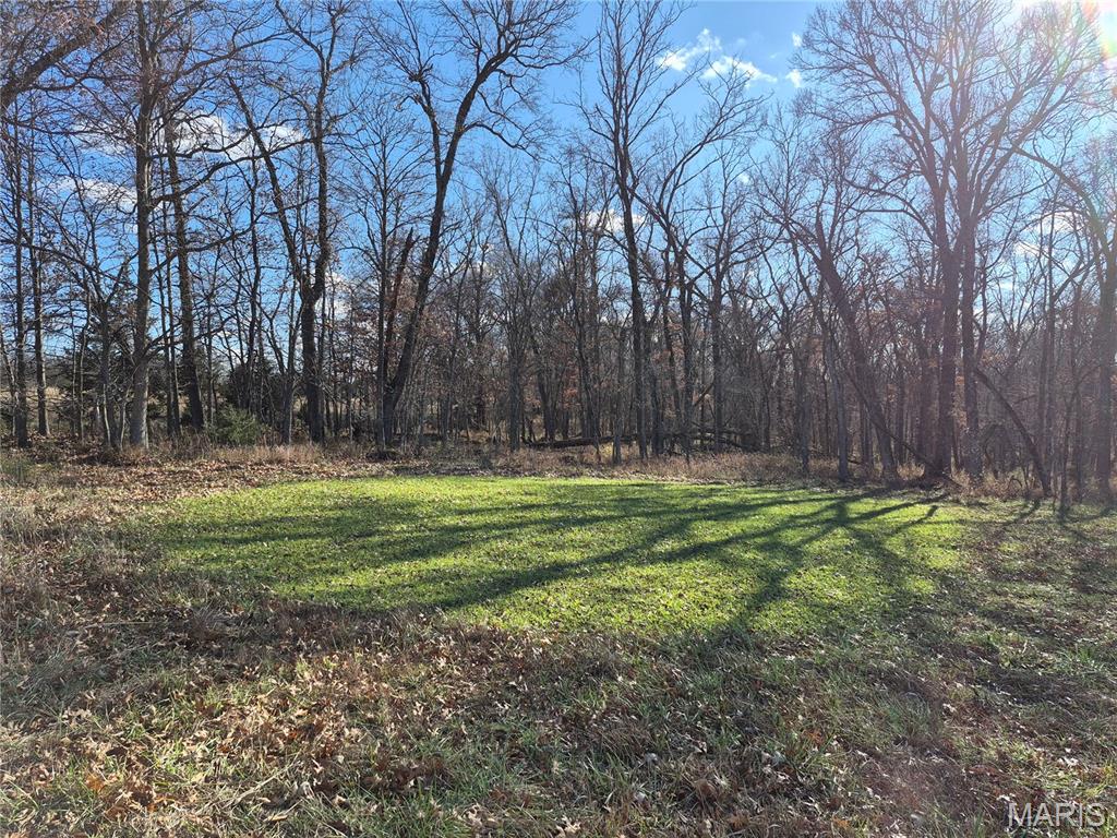 Photo of 0 County Road 197 - Tract 2 (30+/- Acres) Williamsburg MO 63388