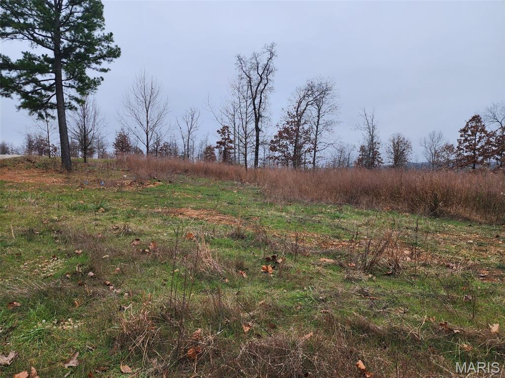 Photo of 0 Hillview Dixon MO 65459