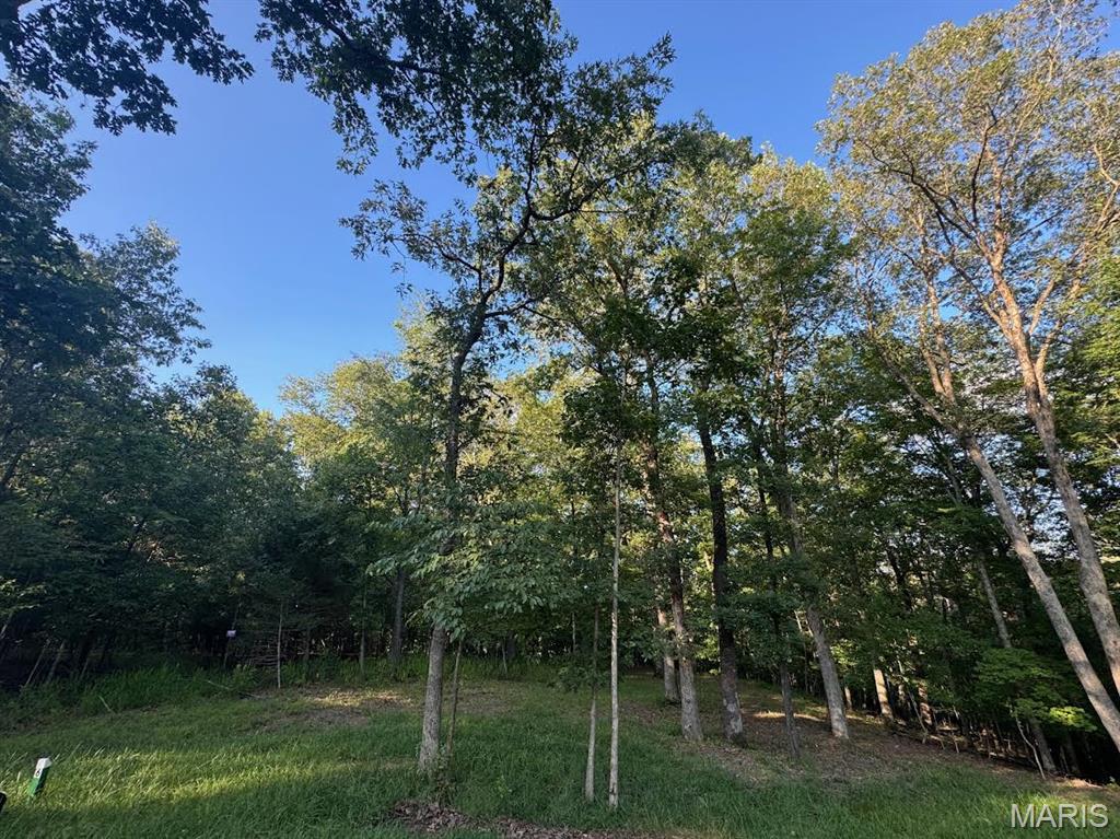 Photo of 190 Steeple Point Dr. Lot #6 Drive Defiance MO 63341