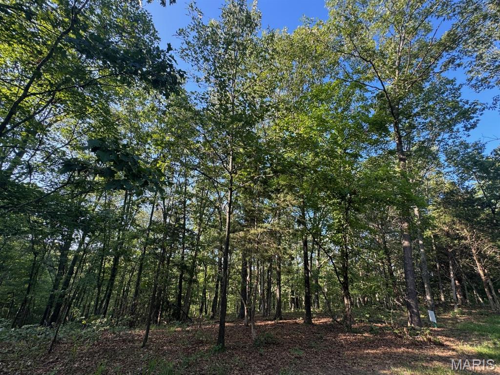 Photo of 160 Steeple Point DR. Lot #9 Drive Defiance MO 63341