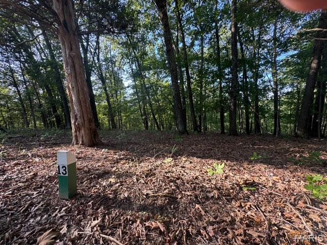 Photo of 120 Steeple Point Dr. Lot #13 Drive Defiance MO 63341