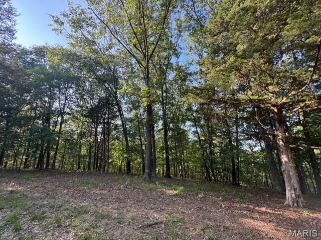 Photo of 110 Steeple Point Dr. Lot # 14 Drive Defiance MO 63341