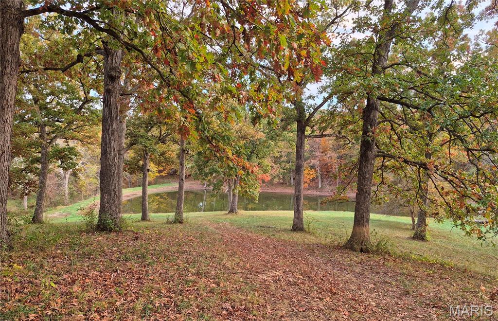 Photo of 0 Highway D (15+/- Acres) Tract 11 Eolia MO 63344