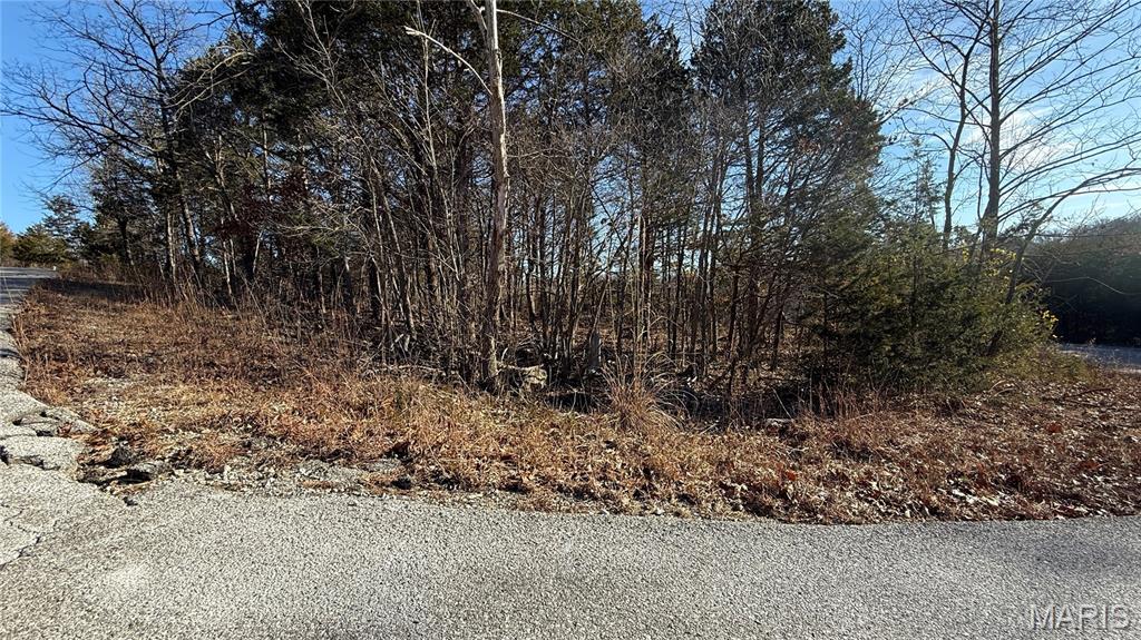 Photo of 0 Sassafras Dr Hillsboro MO 63050