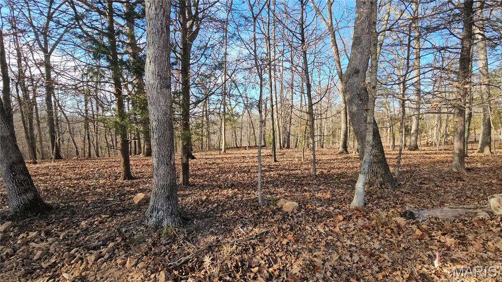 Photo of 774A Village Green Drive Lake Sherwood MO 63357