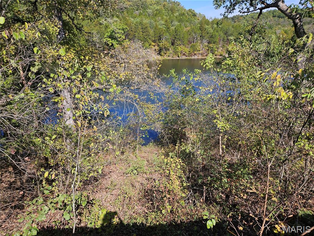 Photo of 2151 Lake Park Trail De Soto MO 63020
