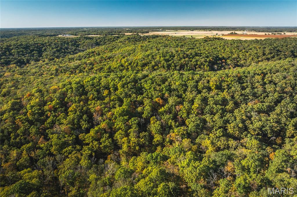 Photo of 000 County Road 4055 Portland MO 65069
