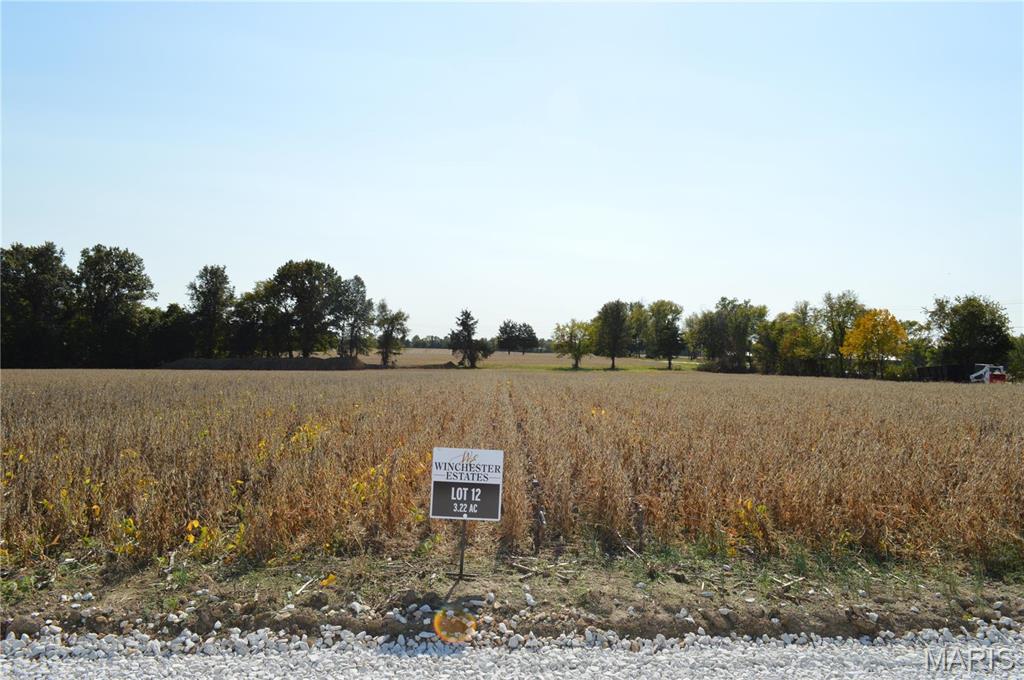 Photo of 11300 Windsor Place Drive Wright City MO 63390