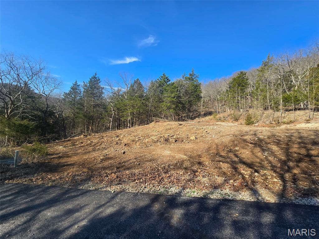 Photo of 179 Stonesthrow Drive Wildwood MO 63038