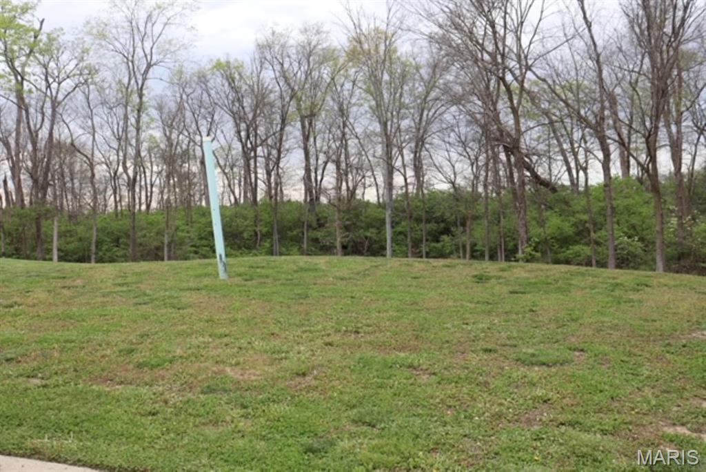 Photo of 4805 Lone Rock Lane Smithton IL 62285