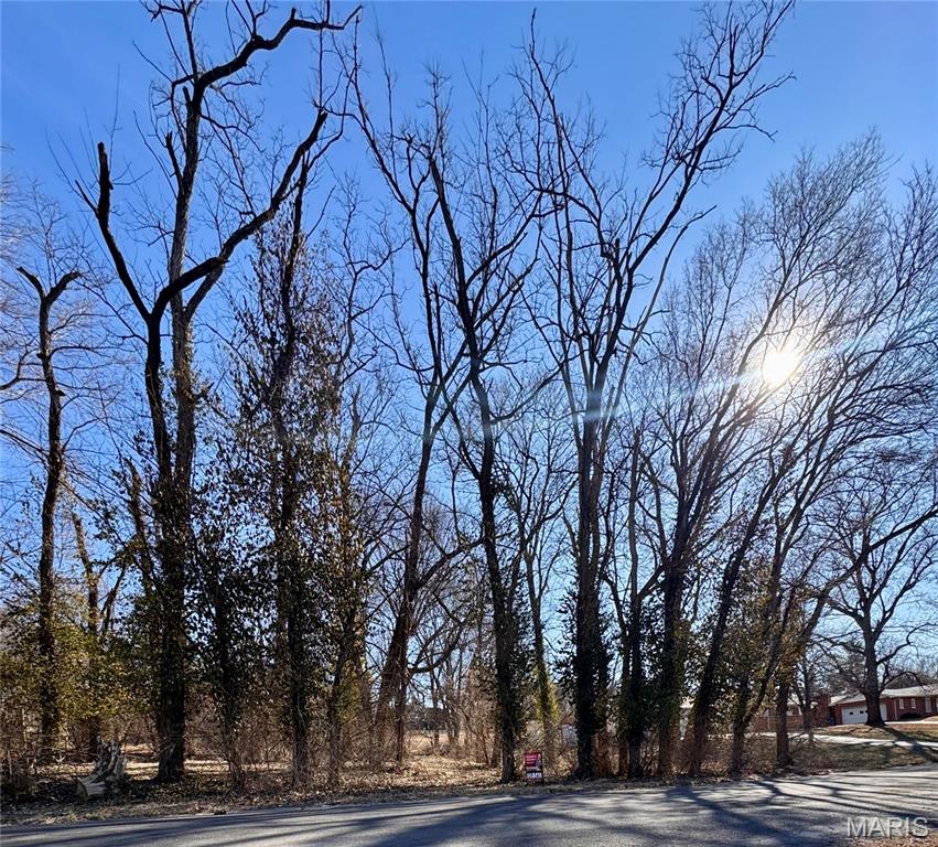 Photo of 0 Hillcreek Road Collinsville IL 62234