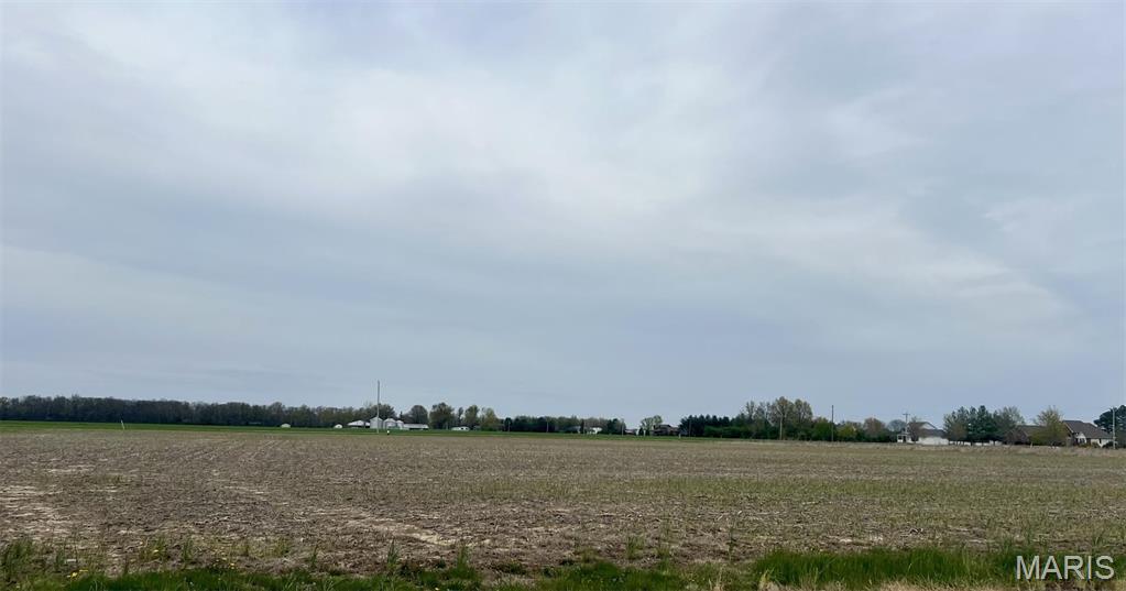 Photo of 10971 Platinum Lane Mascoutah IL 62258