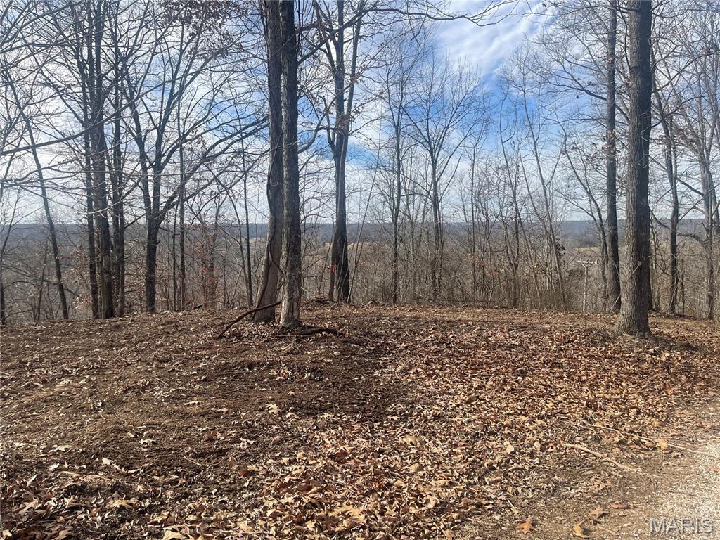 Photo of 0 Highway W Poplar Bluff MO 63901