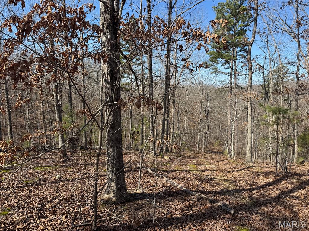 Photo of 1003 Hidden Valley Lakes Annapolis MO 63620