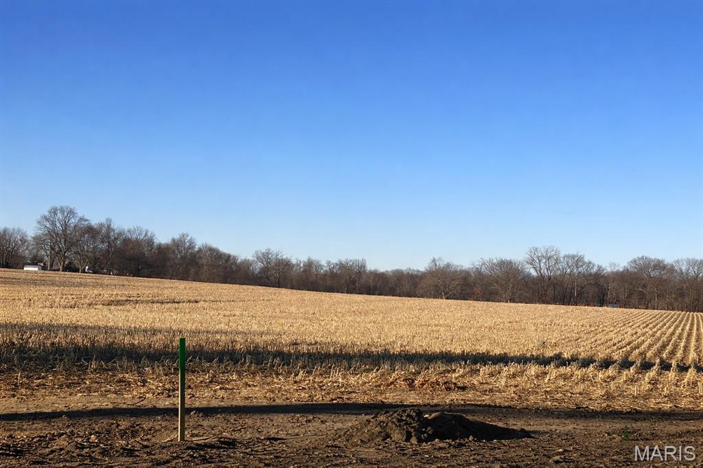 Photo of 402 N Powell Street Troy IL 62294
