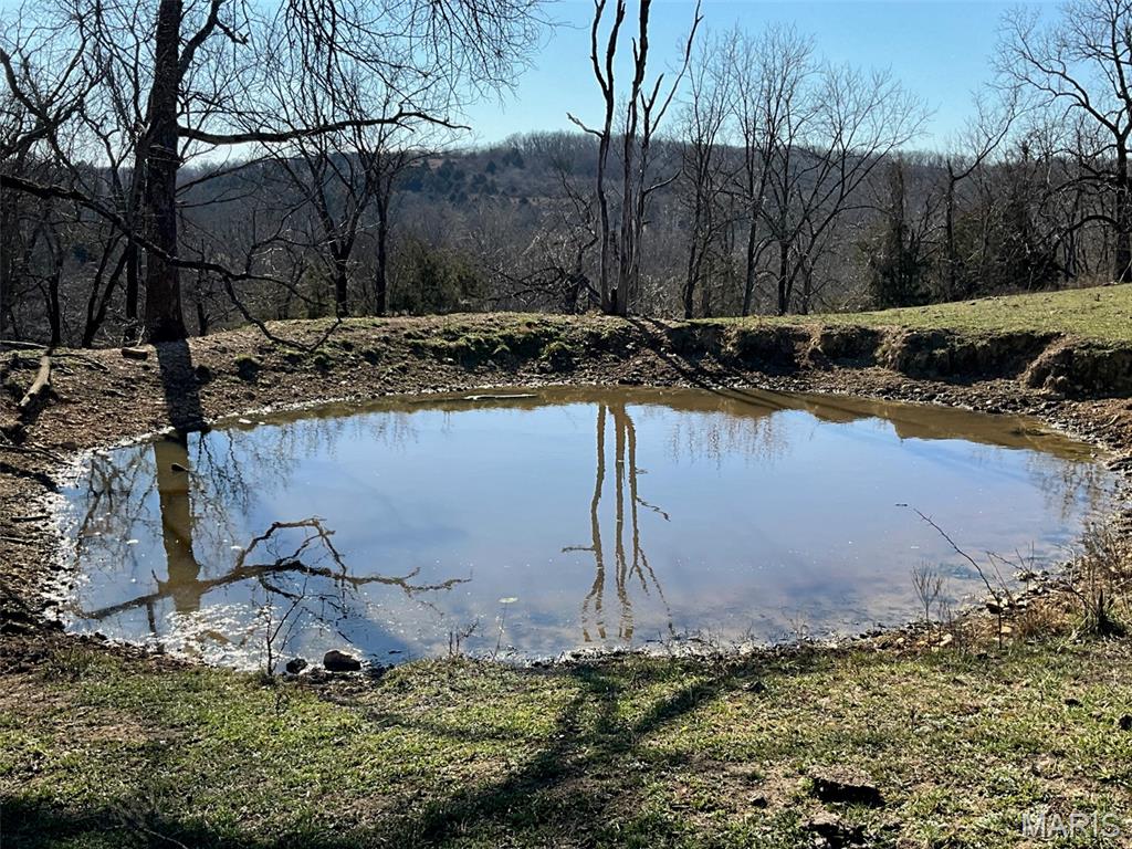 Photo of 594 County Road 873 Thornfield MO 65762