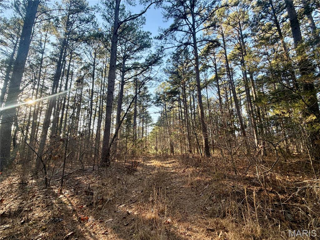 Photo of 0 County Road 6575 Salem MO 65560