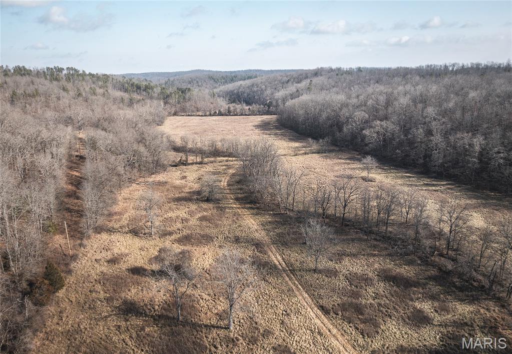 Photo of 0 County Road 404 Ellington MO 63638