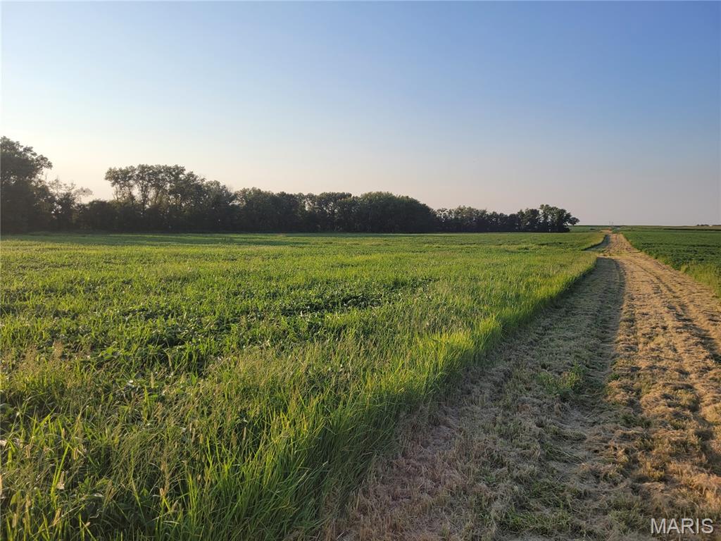 Photo of 0 Hwy DD (46+/- Ac) Tract F Bellflower MO 63333