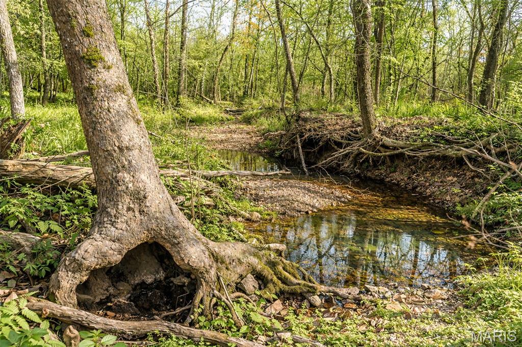 Photo of 85 acers Hwy 19 -Leweke Lane Hermann MO 65041