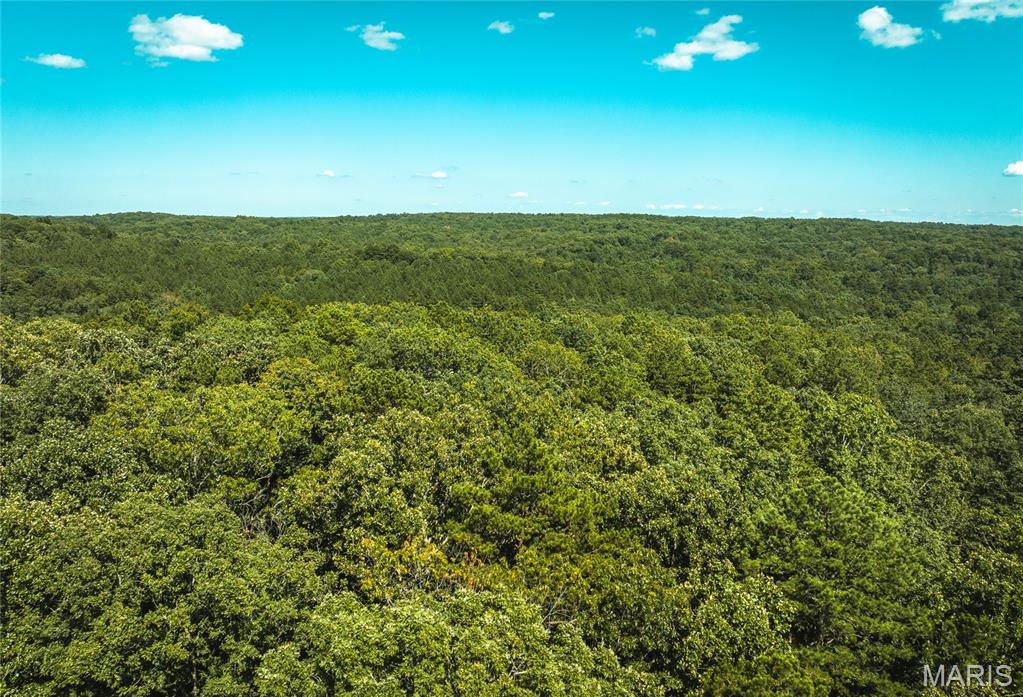Photo of 000 County Road 5600 Salem MO 65560