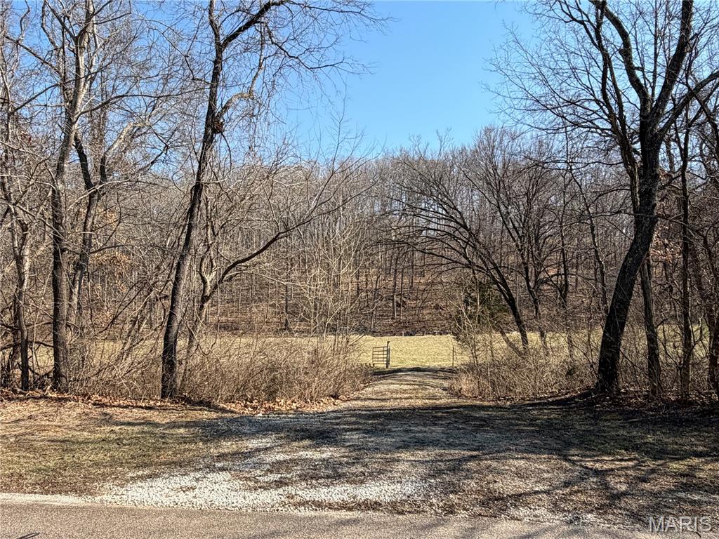 Photo of 18491 Hencken Valley Estates Drive Wildwood MO 63069