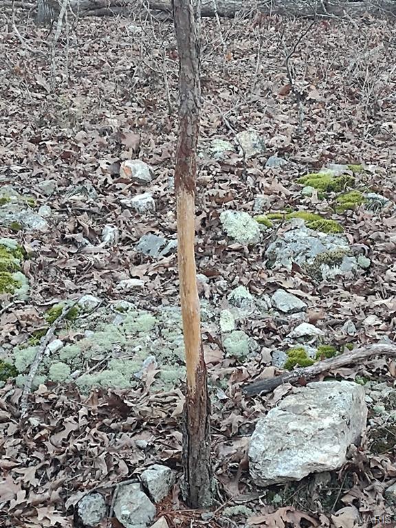 Photo of 000 Moonshine Pass Salem MO 65560