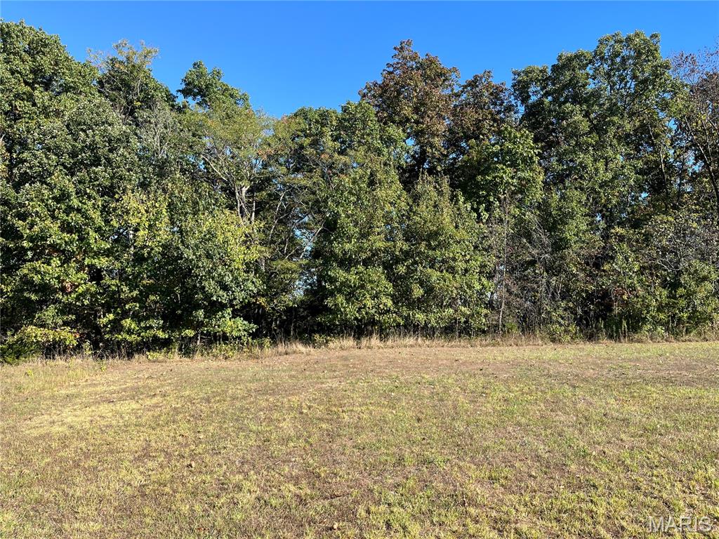 Photo of 0 Lot 3 Linda Lane Bowling Green MO 63334