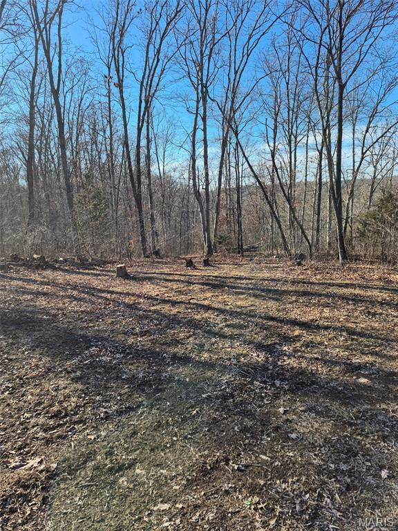Photo of 0 Catawba Drive De Soto MO 63020