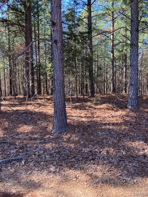 Photo of 199 Madison CR 410 Fredericktown MO 63645