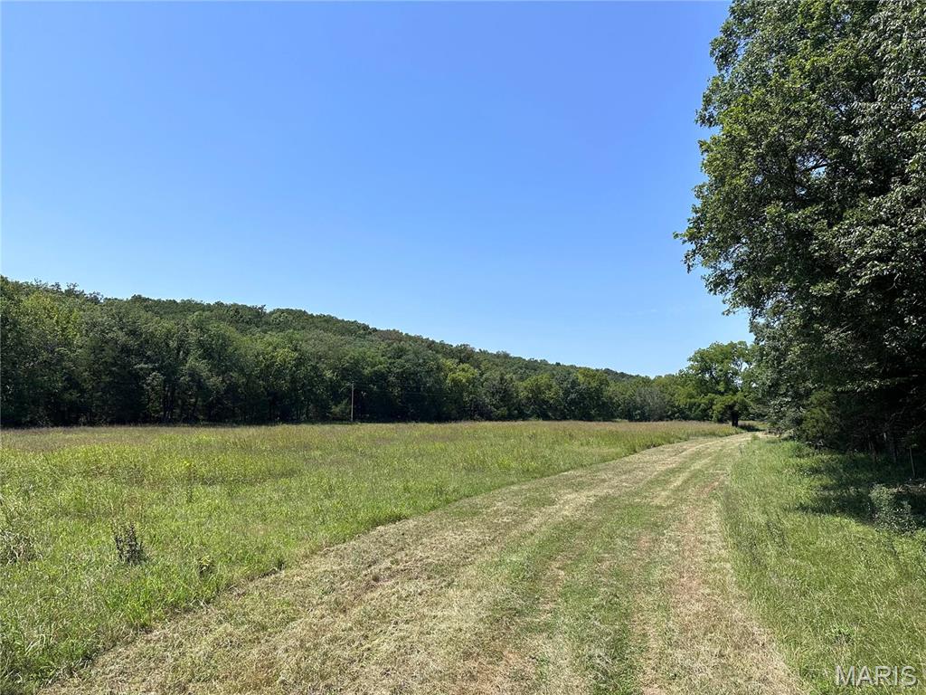 Photo of 22 Hematite Farms Rd Festus MO 63028