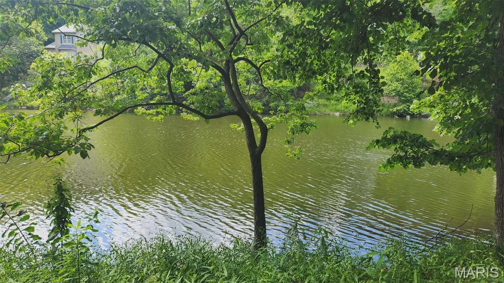 Photo of 574 Marina Drive Marthasville MO 63357