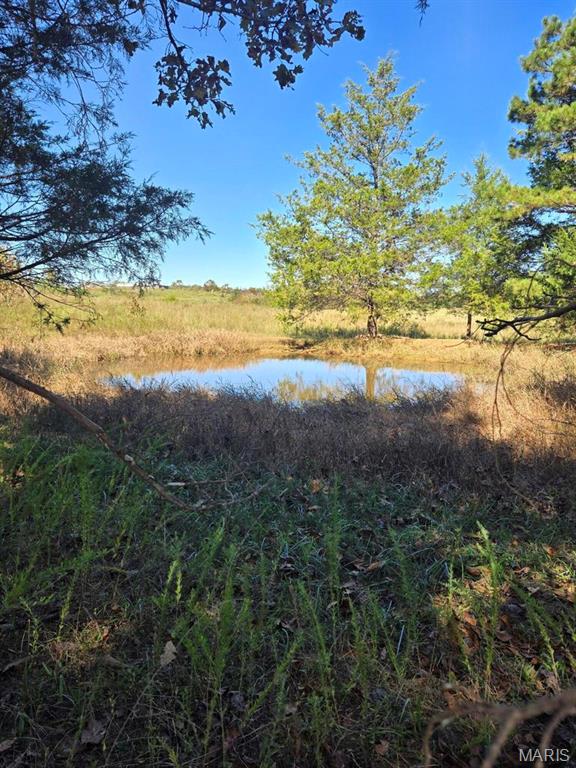 Photo of 000 County Road 455 Birch Tree MO 65438
