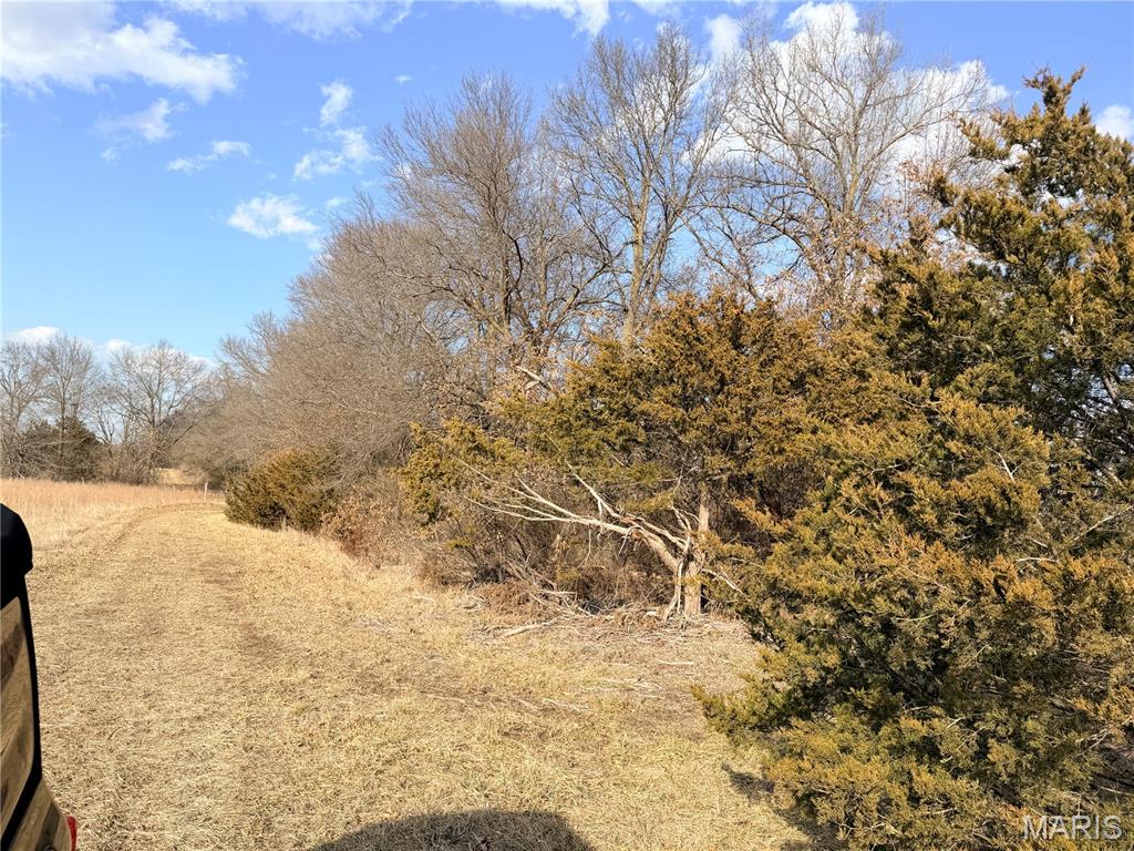 Photo of Tract 1C 935 Audrain Rd Mexico MO 65265