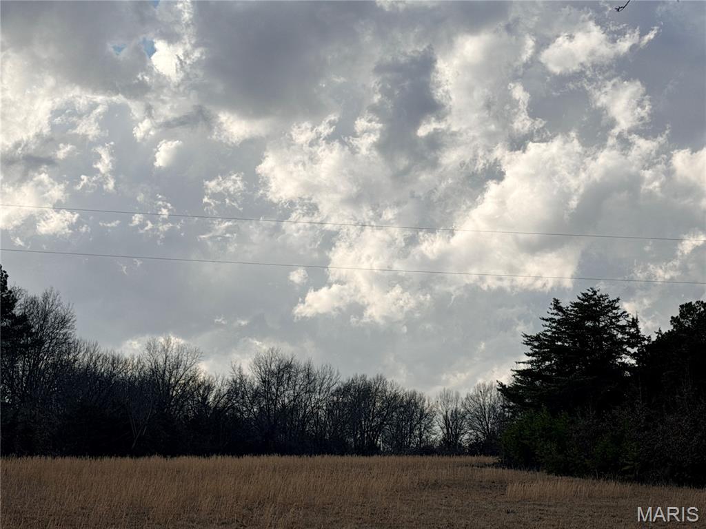 Photo of Tract 1D 935 Audrain Rd Mexico MO 65265