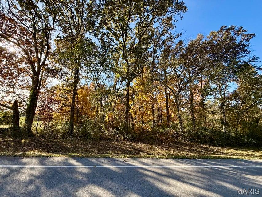 Photo of 000 Lilly Ave. Houston MO 65483