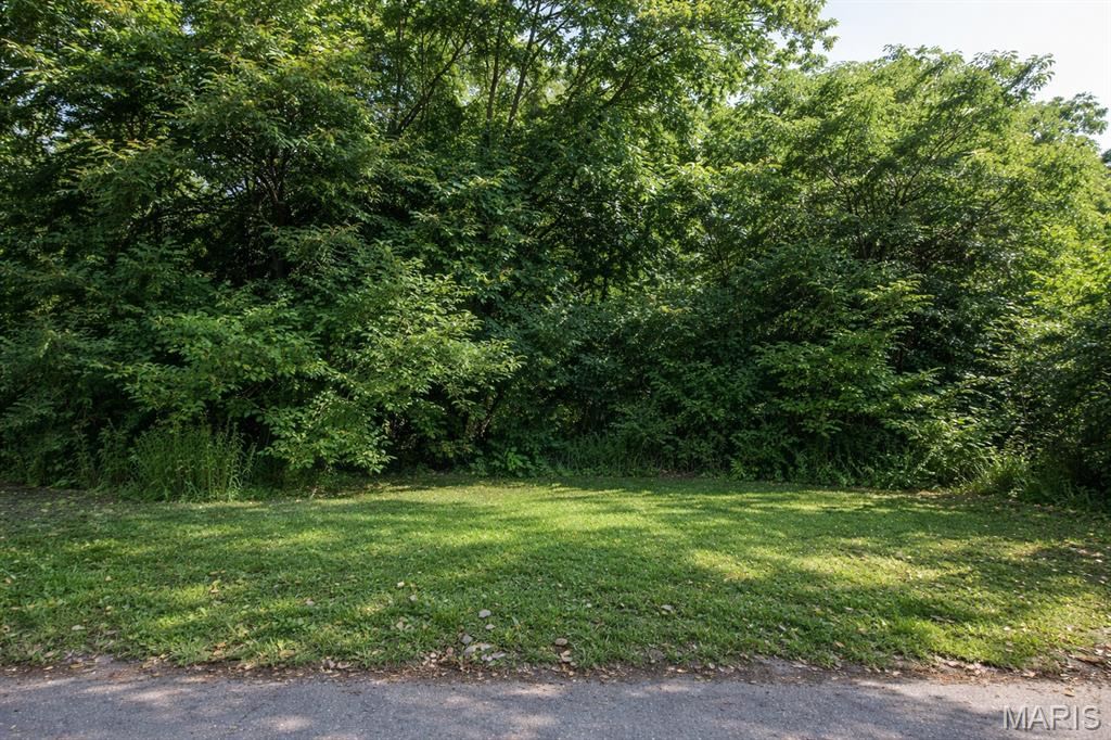 Photo of 1704 N 45th Street East St Louis IL 62204