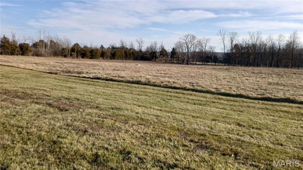 Photo of 410 E 1st S Street Wright City MO 63390